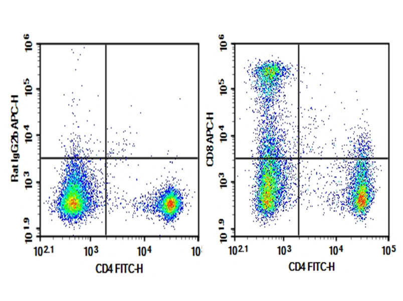 Purified Anti-Mouse CD8 Antibody[5H10-1]-searchlist-1
