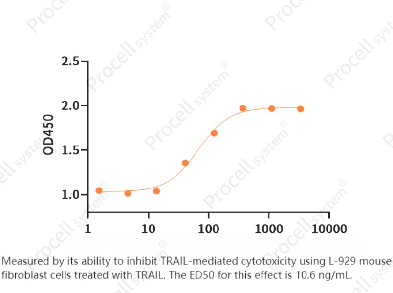 OPG/TNFRSF11B (C-6His), Human, RecombinantOPG/TNFRSF11B (C-6His), Human, Recombinant - 2
