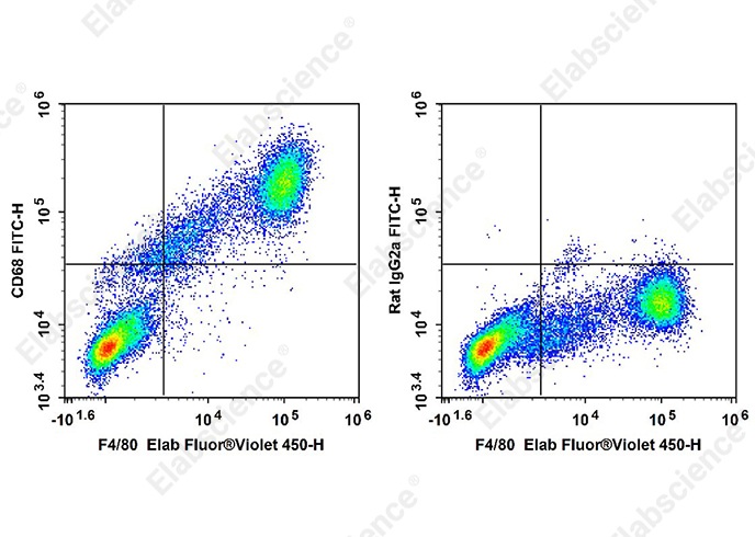 FITC Anti-Mouse CD68 Antibody[FA-11]-searchlist-1