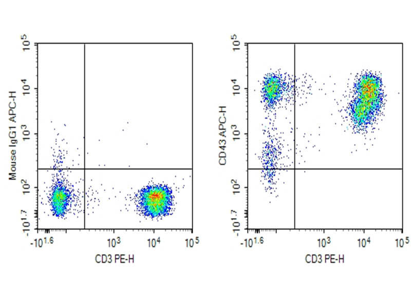 Purified Anti-Human CD43 Antibody[HI161] - 1