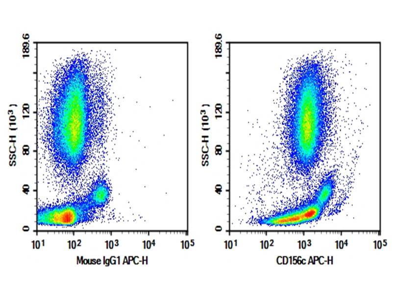 Purified Anti-Human CD156c Antibody[SHM14]-searchlist-1