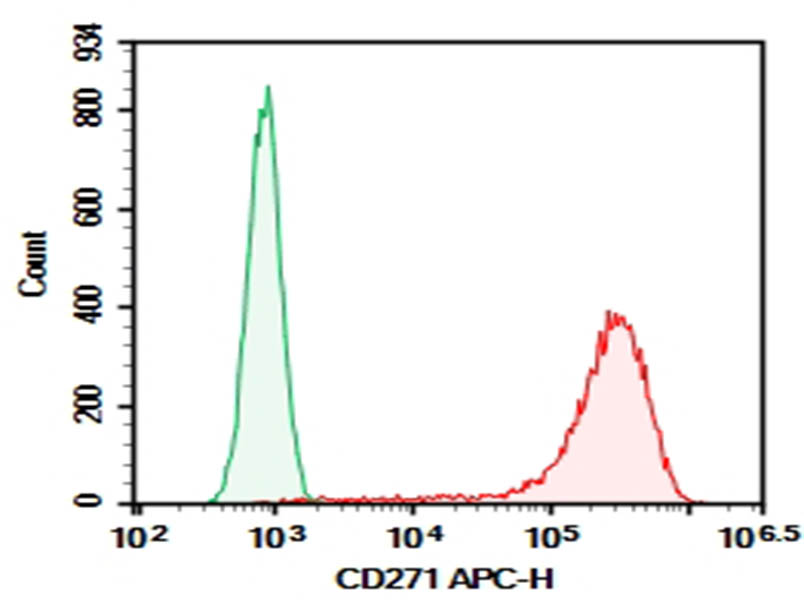 Purified Anti-Human CD271 Antibody[ME20.4] - 1