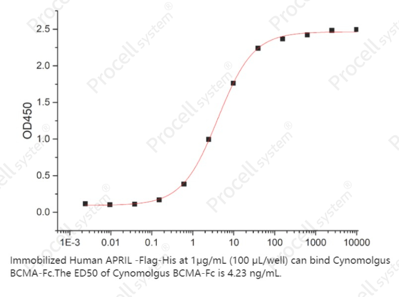 APRIL/TNFSF13/TRDL-1α (N-Flag-His), Human, RecombinantAPRIL/TNFSF13/TRDL-1α (N-Flag-His), Human, Recombinant - 2