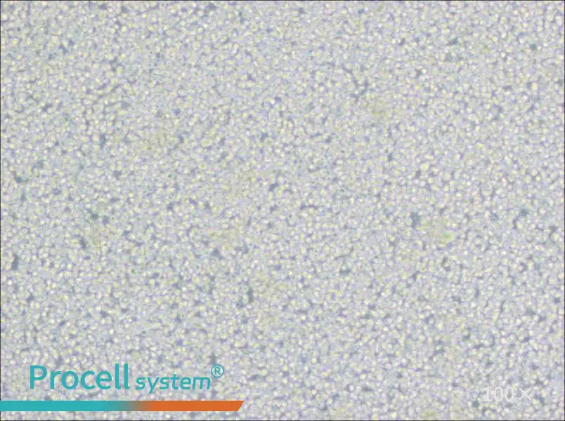 H9 [derivative of HuT 78] Cell Complete Medium - 1