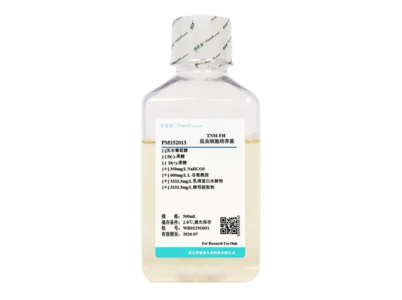 https://789.bio/ec/FHrTbaZj