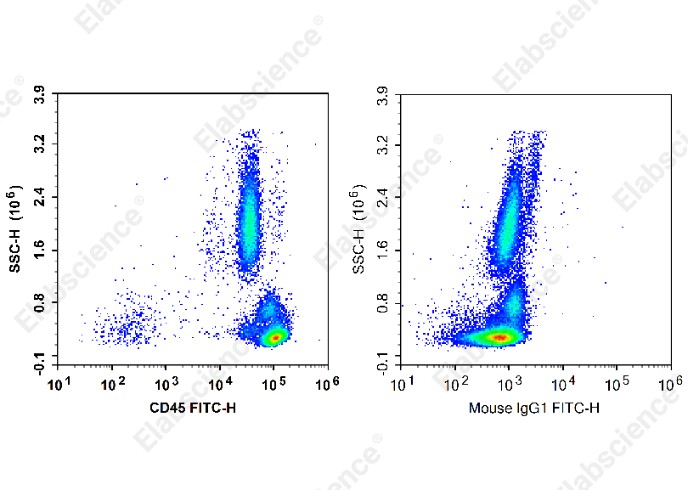 FITC Anti-Human CD45 Antibody[Tü116] - 1