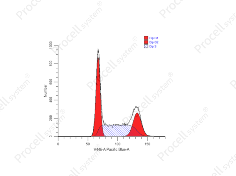 Cell Cycle Assay Kit (Blue Fluorescence)