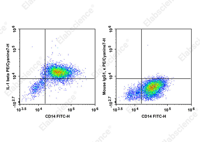 PE/Cyanine7 Anti-Human IL-1β Antibody[CRM56] - 1