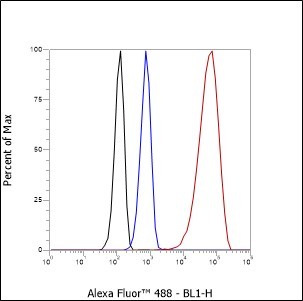 Recombinant NSE Monoclonal Antibody - small - 5
