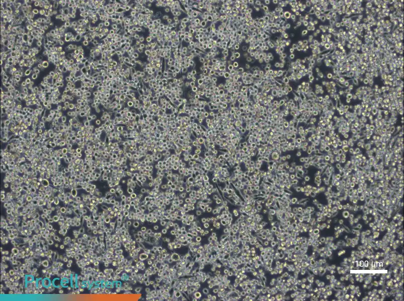 L6565L6565 - 2