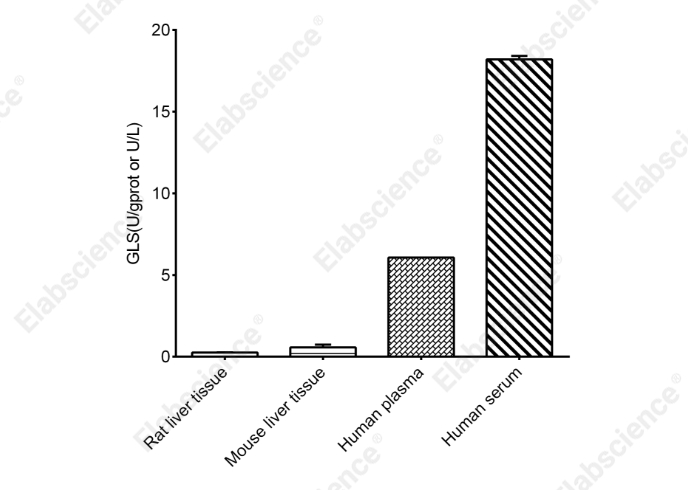 Glutaminase (GLS) Activity Assay  Kit - 2