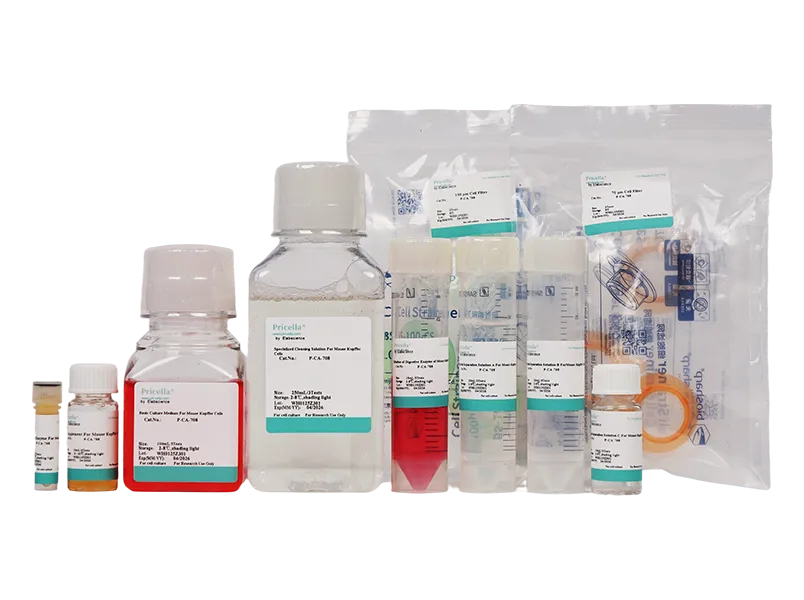 Mouse Kupffer Cells Isolation and Culture Kit - small - 2