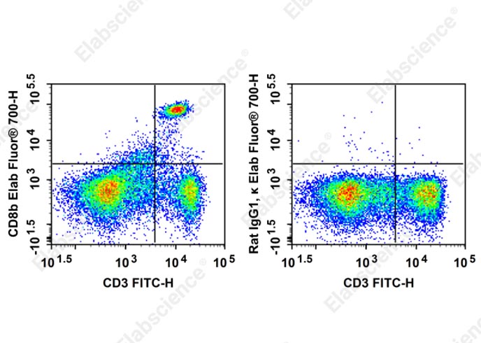 Elab Fluor<sup>®</sup>700 Anti-Mouse CD8b Antibody[YTS156.7.7]-searchlist-1