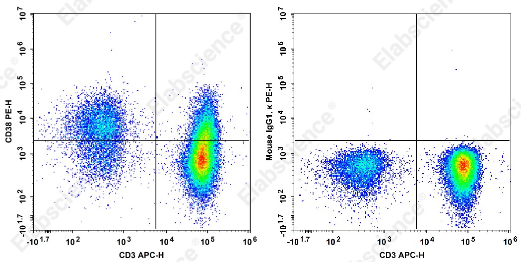 PE Anti-Human CD38 Antibody[HB-7] - 1