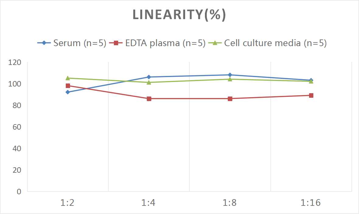 Human DPP4(Dipeptidyl Peptidase Ⅳ) ELISA Kit-产品推荐-3