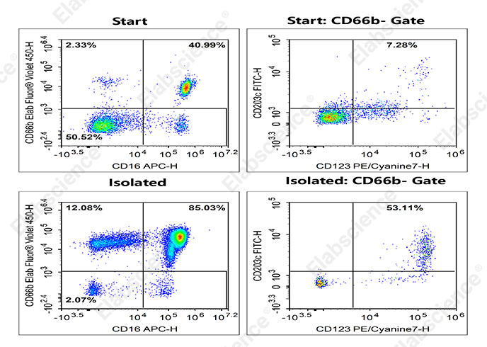 EasySort™ Human Pan-Granulocyte Isolation Kit - 1