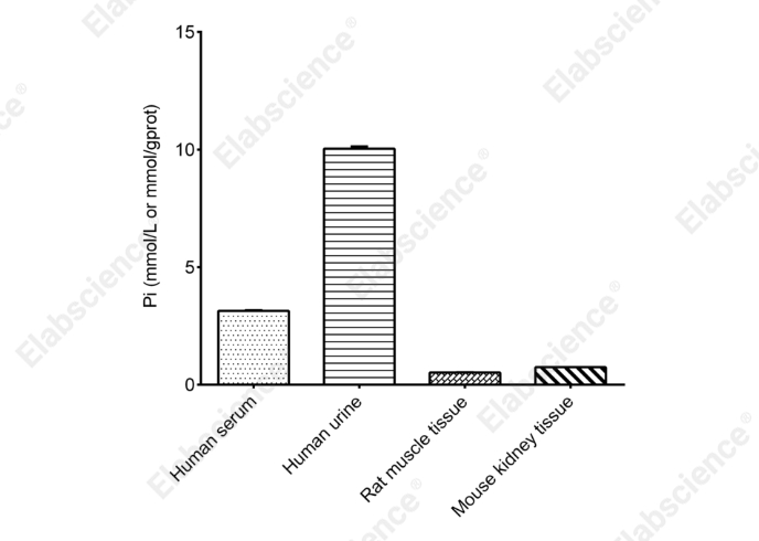 Phosphorus (Pi) Colorimetric Assay Kit (Phospho Molybdate Method) - 2