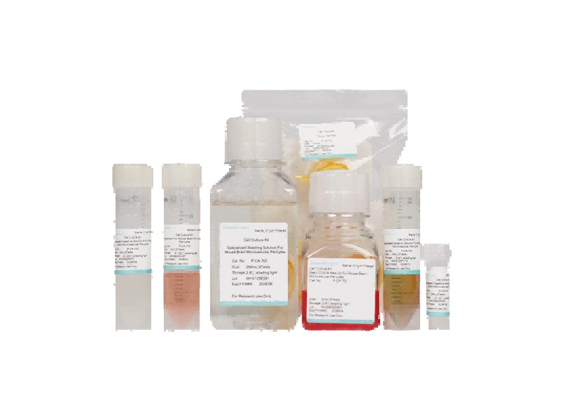 Mouse Brain Microvascular Pericyte Isolation and Culture Kit