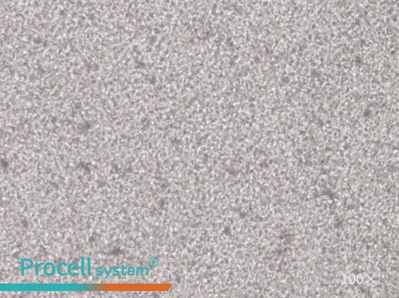 SU-DHL-1 Cell Complete Medium - 2