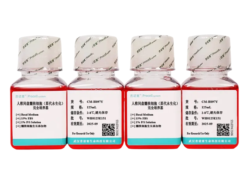 https://789.bio/ec/Fe2NbAiY