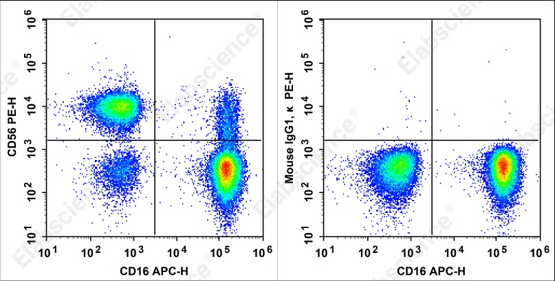 PE Anti-Human CD56 Antibody[HCD56] - 1
