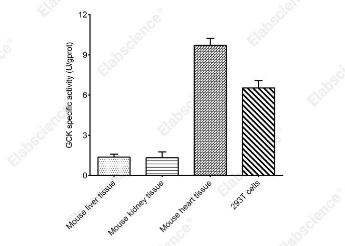Glucokinase (GCK) Activity Colorimetric Assay Kit - 2