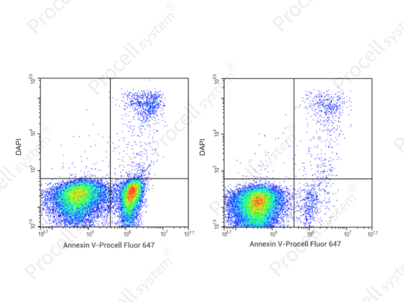 Annexin V-Procell Fluor 647/DAPI Apoptosis Kit