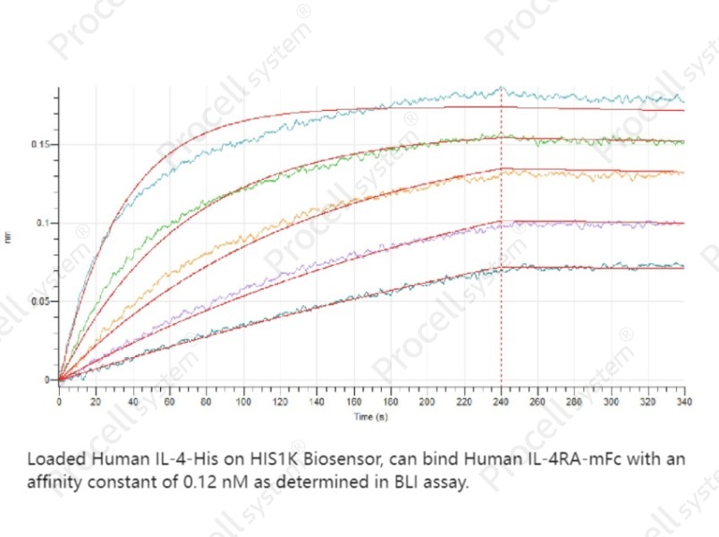 IL-4Rα/CD124 (C-mFc), Human, RecombinantIL-4Rα/CD124 (C-mFc), Human, Recombinant - 2