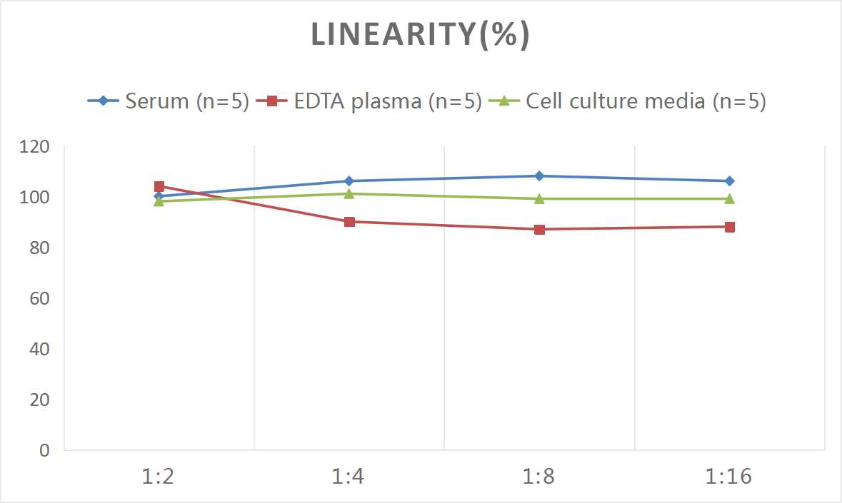 Mouse IgE (Immunoglobulin E) ELISA Kit-产品推荐-1