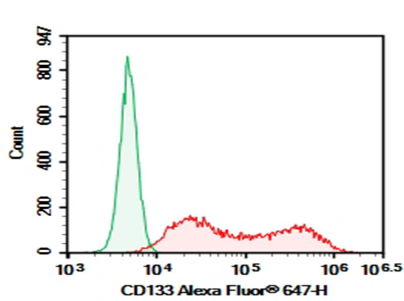 Purified Anti-Human CD133 Antibody[W6B3C1] - 1