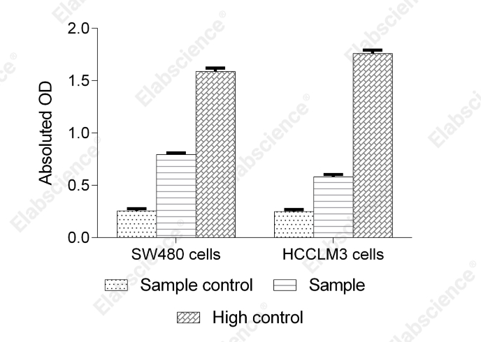 Lactate Dehydrogenase (LDH) Cytotoxicity Colorimetric Assay Kit - 1