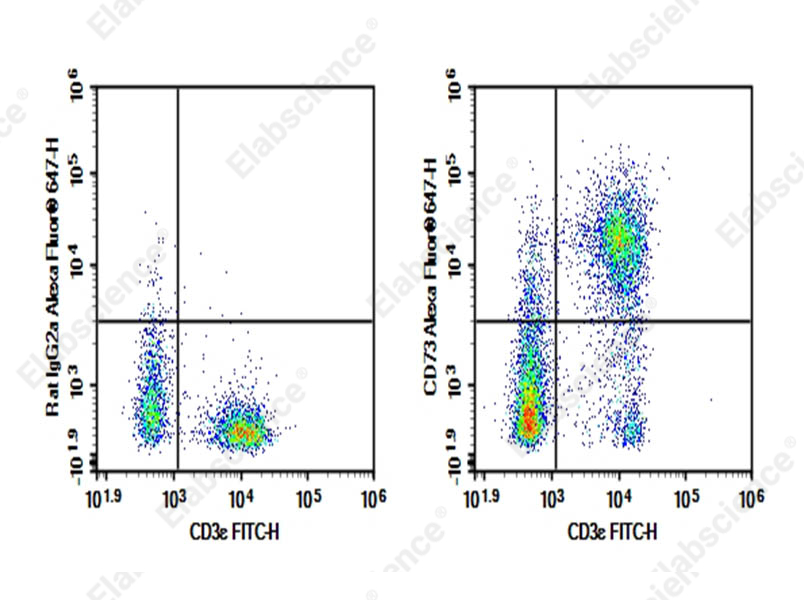 Purified Anti-Mouse CD73 Antibody[TY/23], Functional Grade - 1