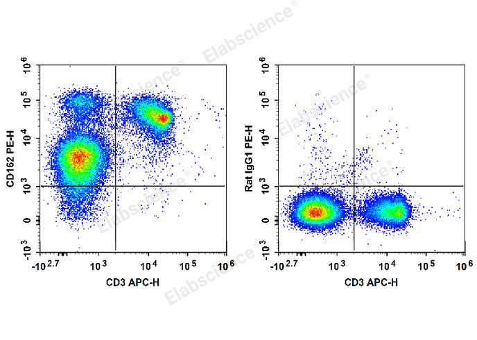 C57BL/6 murine splenocytes are stained with APC Anti-Mouse CD3 Antibody and PE Anti-Mouse CD162 Antibody (Left). Splenocytes are stained with APC Anti-Mouse CD3 Antibody and PE Rat IgG1, κ Isotype Control (Right).