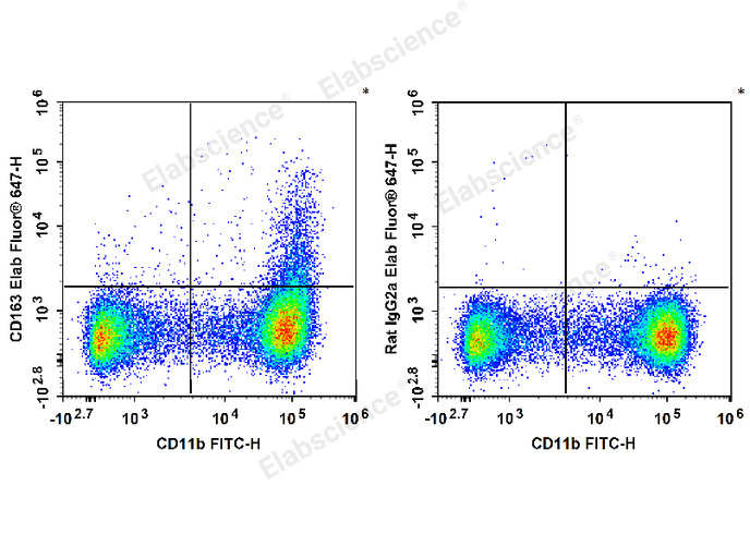 C57BL/6 murine bone marrow cells are stained with FITC Anti-Mouse/Human CD11b Antibody and Elab Fluor® 647 Anti-Mouse CD163 Antibody (Left). Bone marrow cells are stained with FITC Anti-Mouse/Human CD11b Antibody and Elab Fluor® 647 Rat IgG2a,κ Isotype Control (Right).