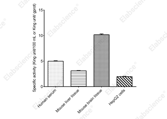 Alkaline Phosphatase (ALP) Activity Assay Kit - 2