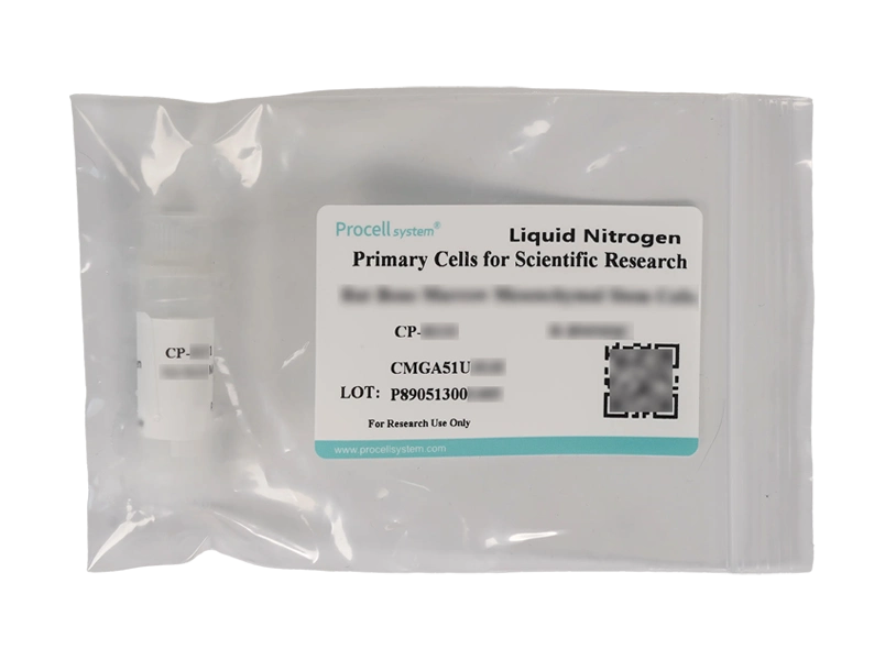 Mouse Lung Fibroblasts (Primary cell immortalization)