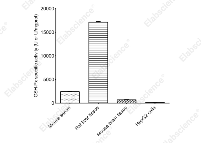 Glutathione Peroxidase (GSH-Px) Activity Assay Kit - 2
