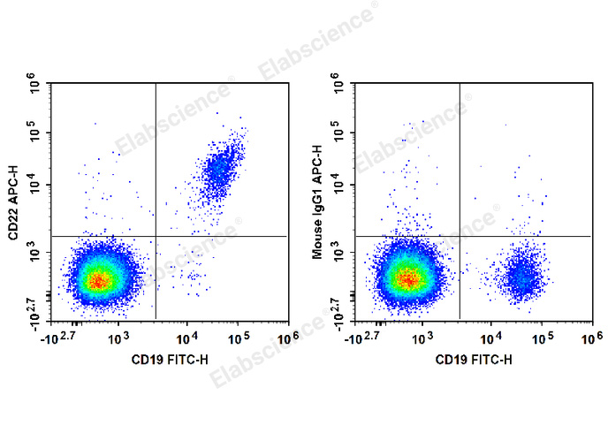 Human peripheral blood lymphocytes are stained with FITC Anti-Human CD19 Antibody and APC Anti-Human CD22 Antibody (Left). Lymphocytes are stained with FITC Anti-Human CD19 Antibody and APC Mouse IgG1, κ Isotype Control (Right).