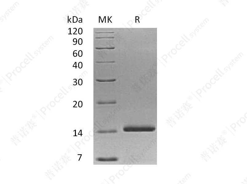 https://789.bio/ec/G8KpuH