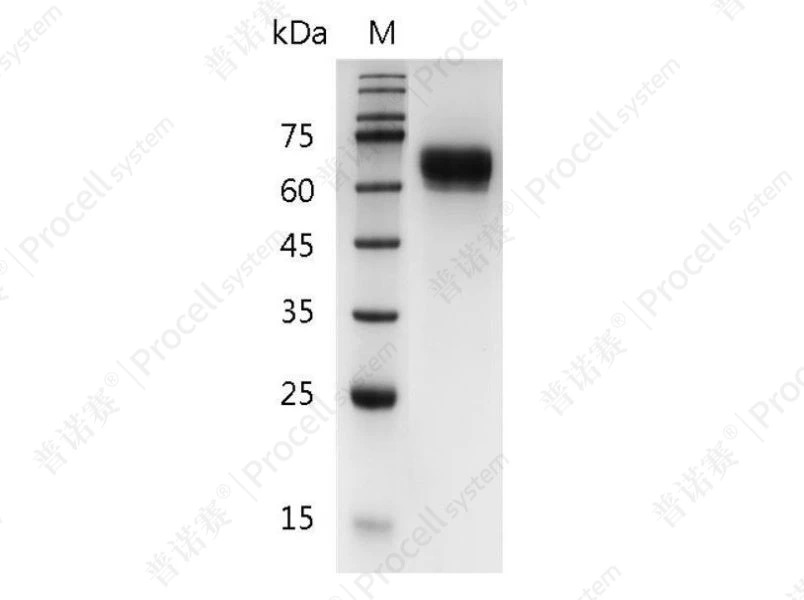 https://789.bio/ec/GC4KO4