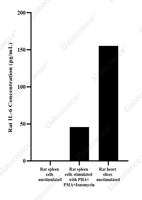 Uncoated Rat IL-6(Interleukin 6) ELISA Kit - 2