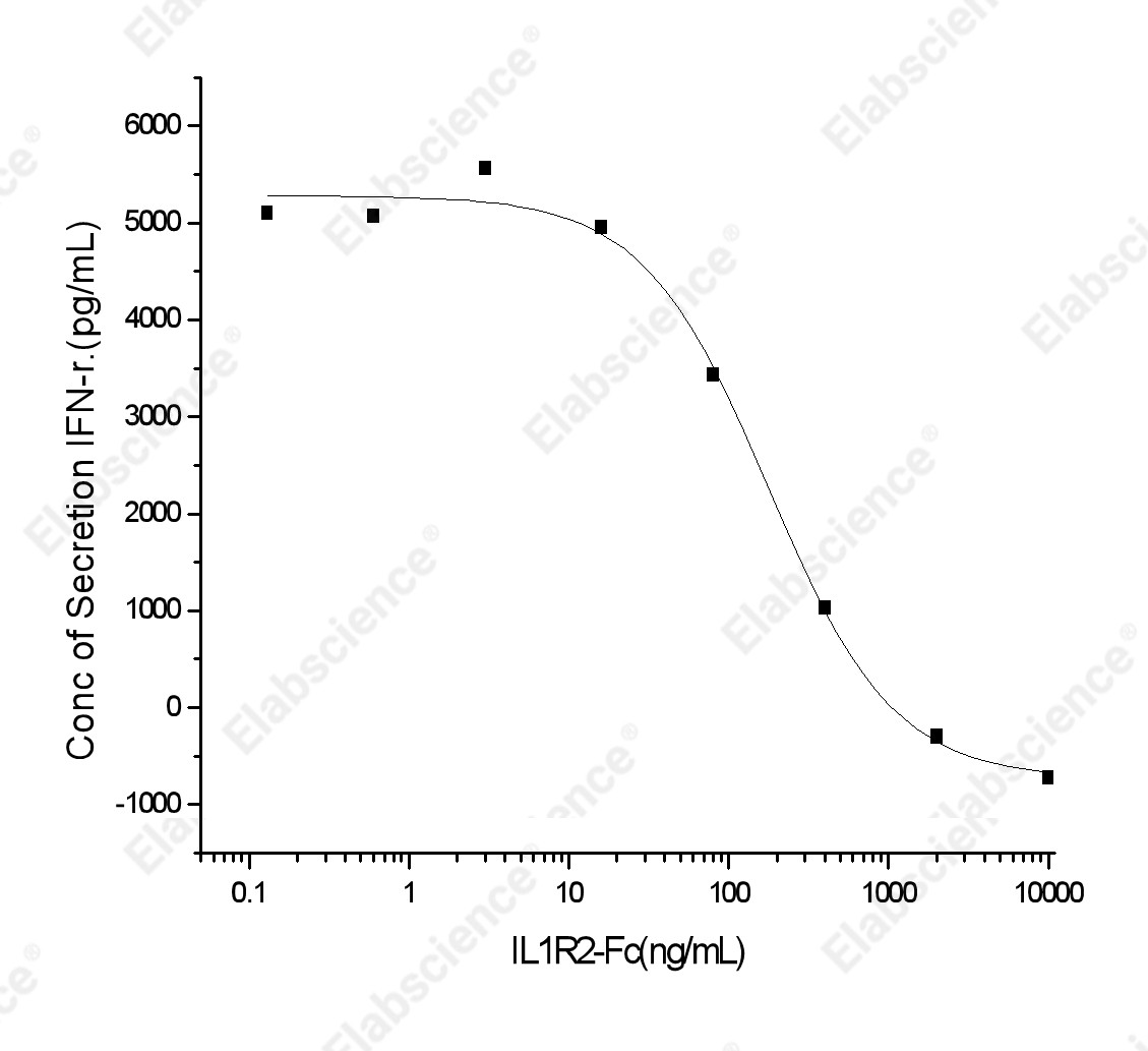 Recombinant Human IL1R2/CD121b Protein (Fc Tag) - 3