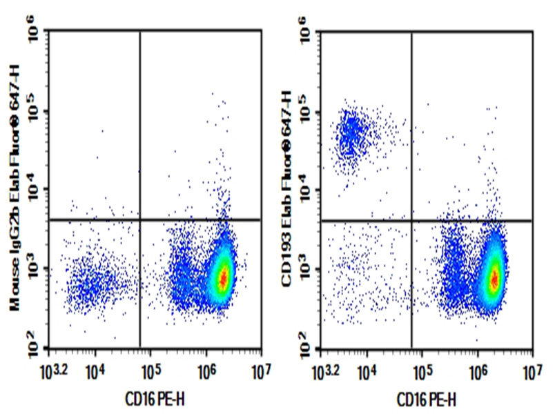 Purified Anti-Human CD193 Antibody[5E8]-1