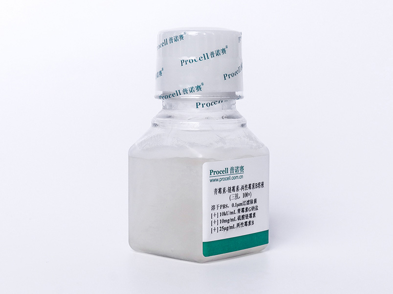 https://789.bio/ec/GGheLC