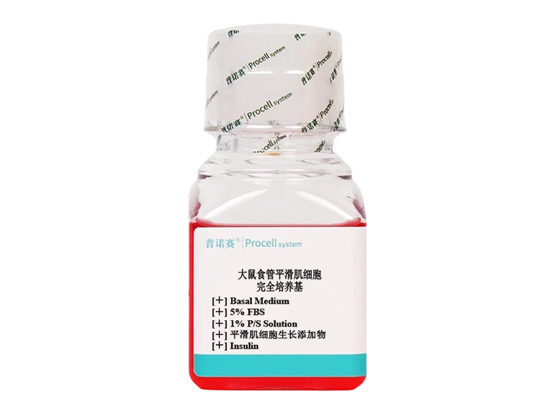 https://789.bio/ec/GKOk7clR