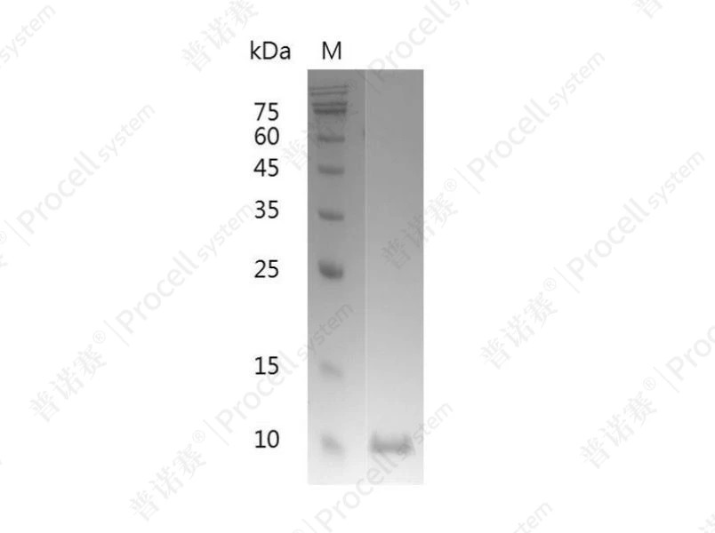 https://789.bio/ec/GKZP0K