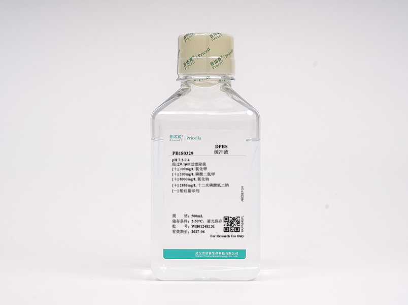https://789.bio/ec/GKdmi9
