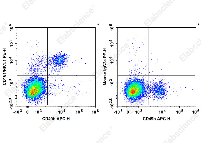 C57BL/6 murine splenocytes are stained with PE Anti-Mouse CD161/NK1.1 Antibody and APC Anti-Mouse CD49b Antibody (Left). Unstained splenocytes are used as control.