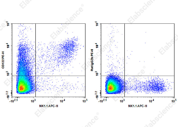 PE Anti-Mouse CD122 Antibody[TM-Beta 1]-1