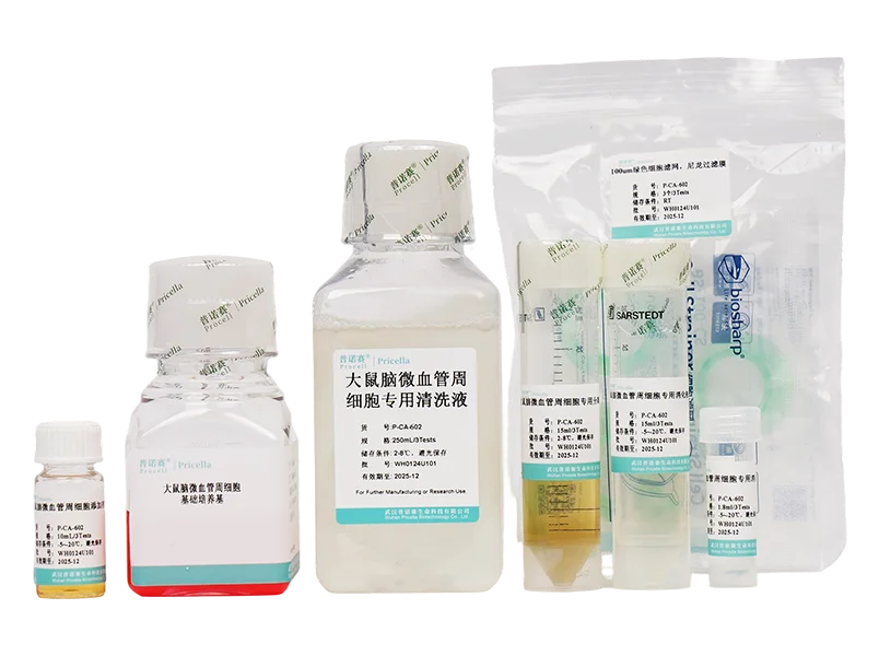 https://789.bio/ec/GKxa1R